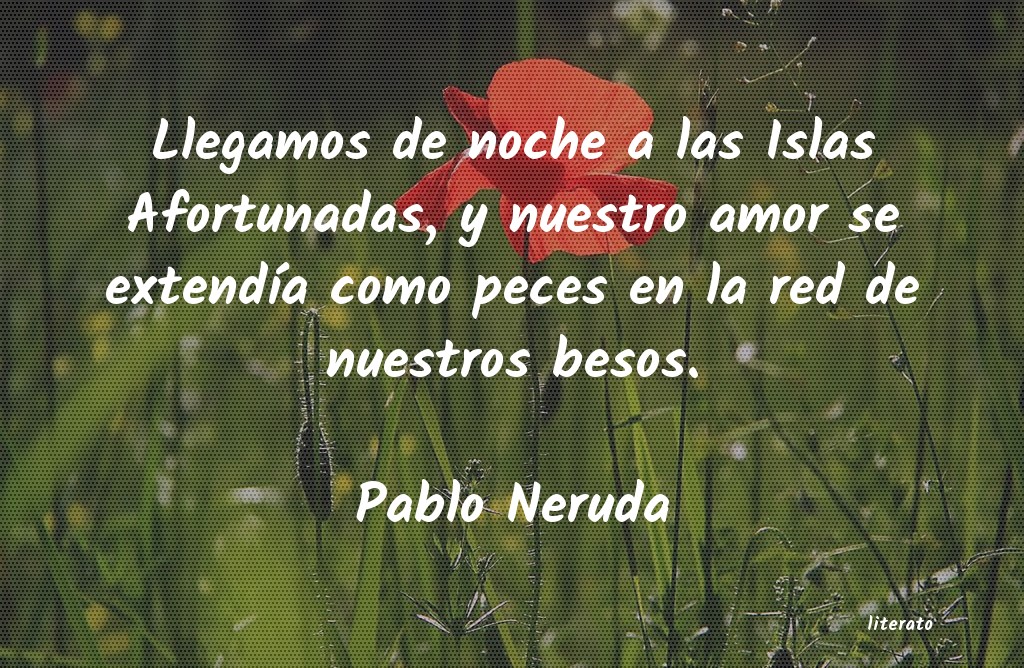frases cortas de amor del poeta pablo neruda