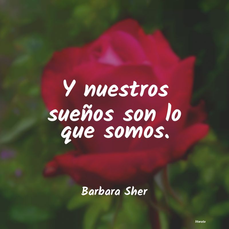 Frases de Barbara Sher