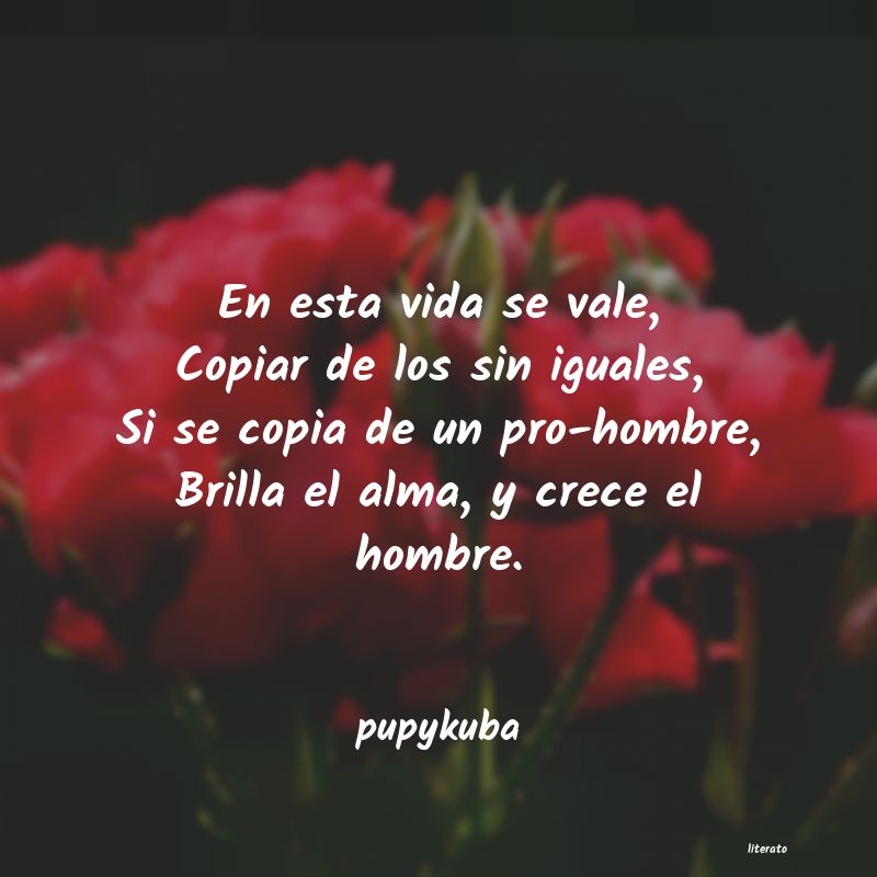 frases de pupykuba