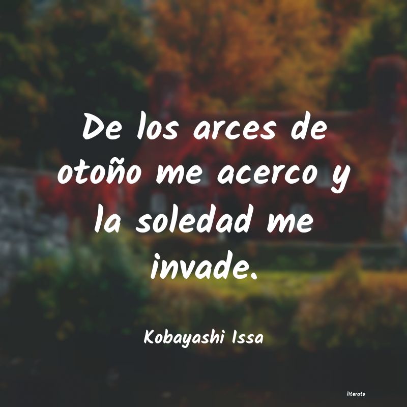 Frases de Kobayashi Issa