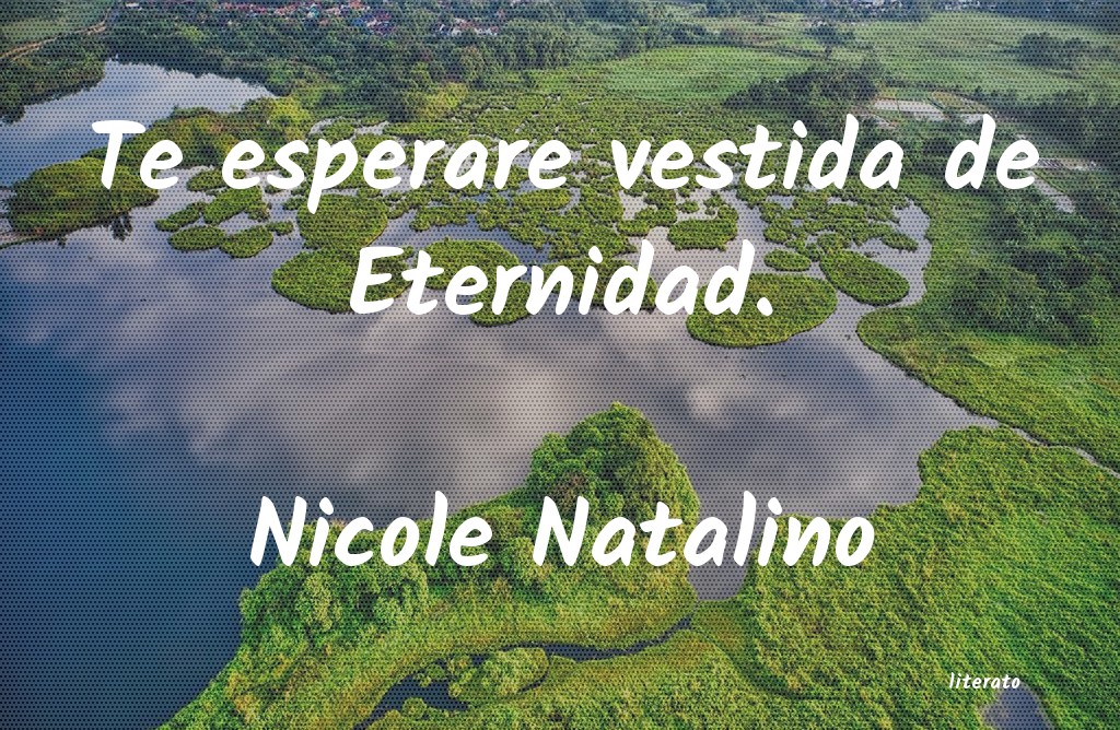 Frases de Nicole Natalino