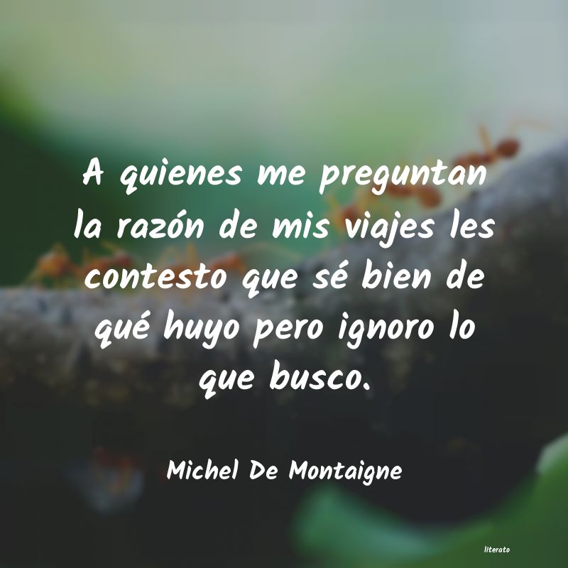 frases de Michel De Montaigne