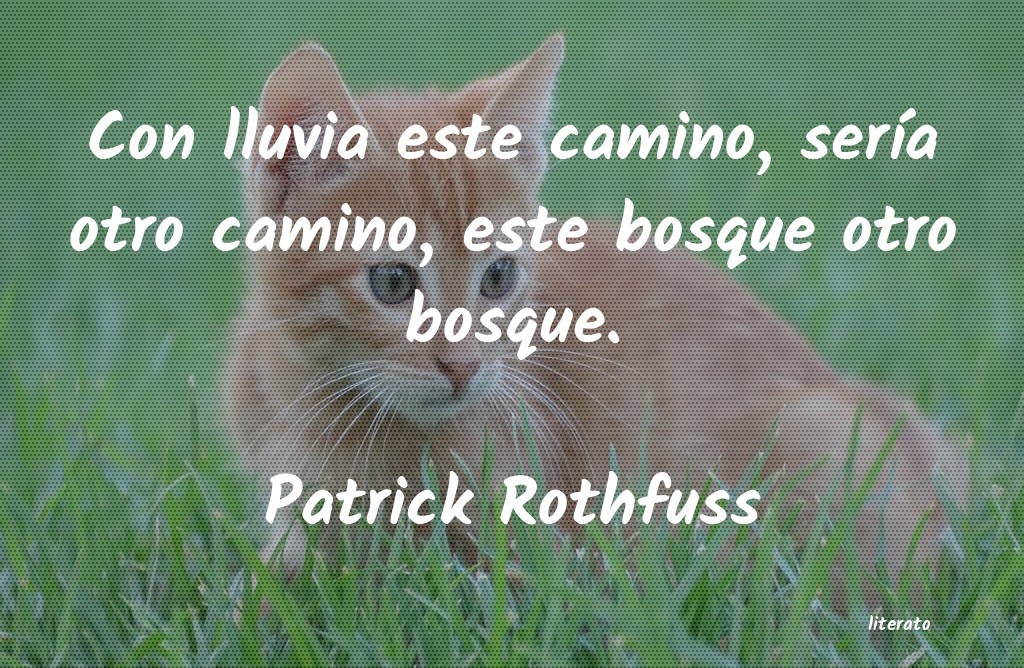 Frases de Patrick Rothfuss