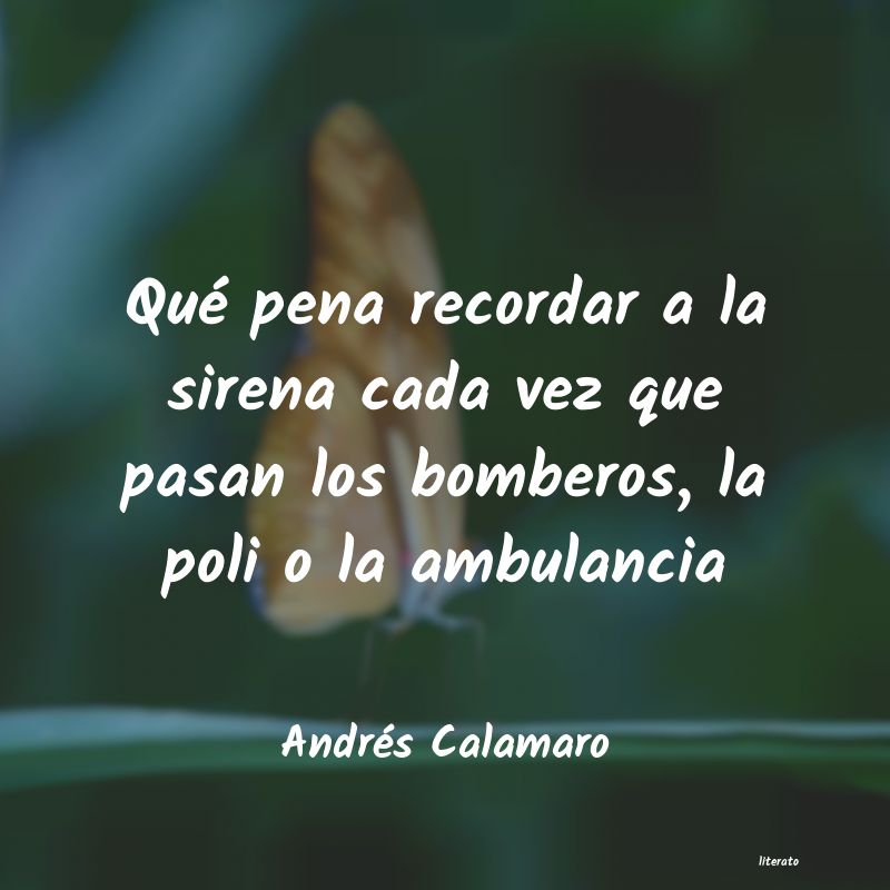 Frases de Andrés Calamaro