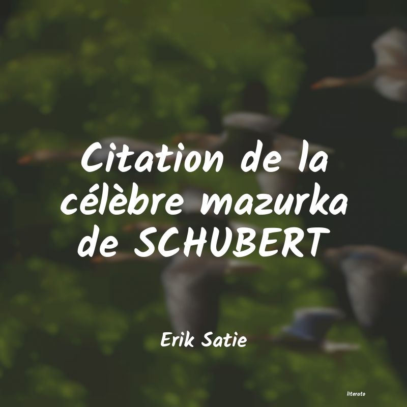frases de Erik Satie