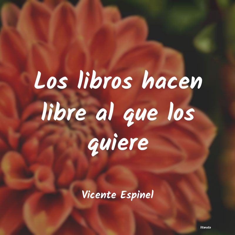 frases de Vicente Espinel