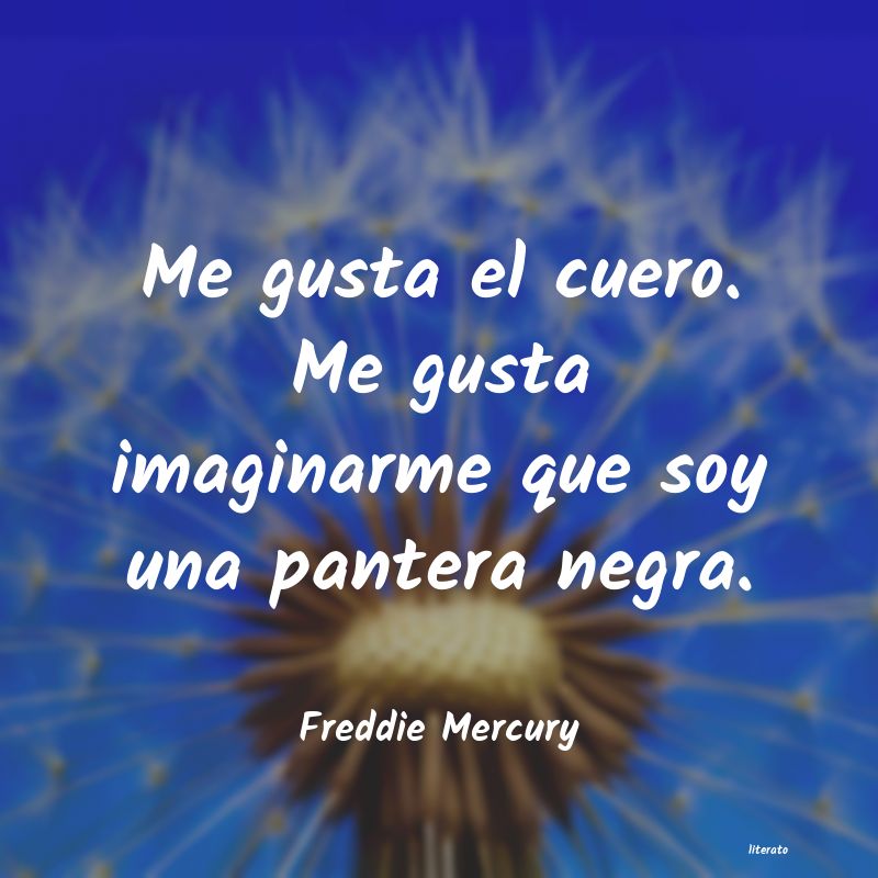 frases de Freddie Mercury