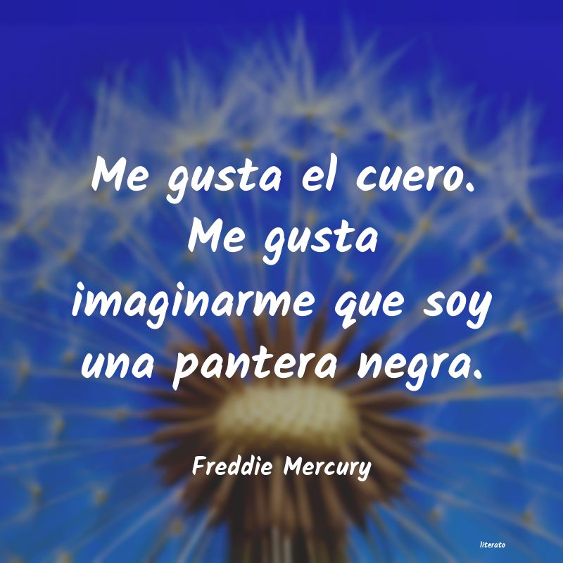 Frases de Freddie Mercury