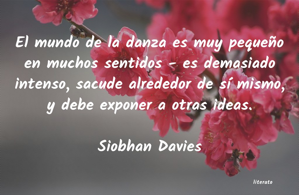 frases de Siobhan Davies