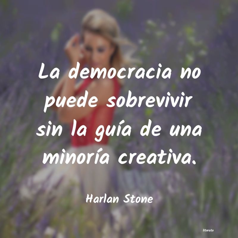 frases de Harlan Stone