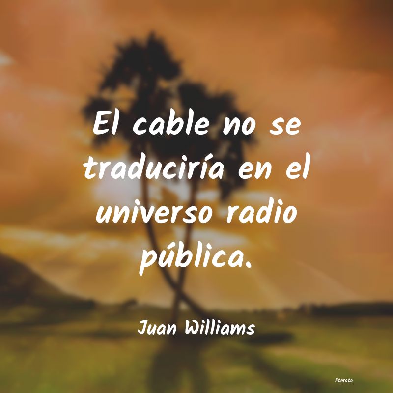 frases de Juan Williams