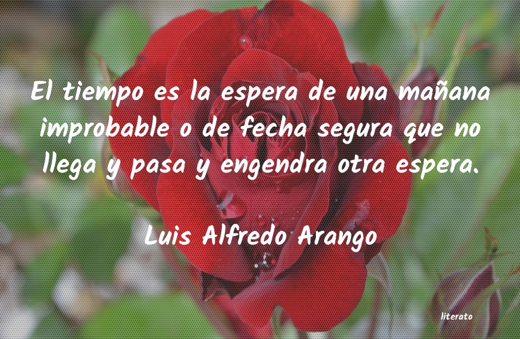 Frases de Luis Alfredo Arango