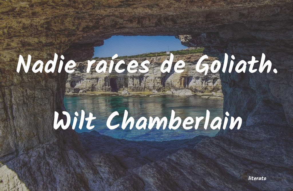 frases de Wilt Chamberlain