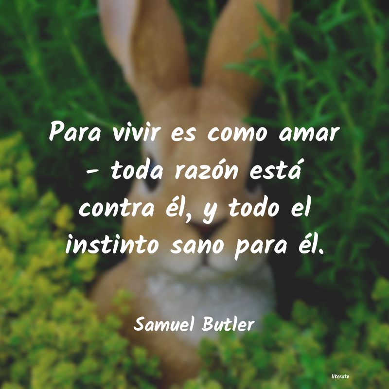 Frases de Samuel Butler