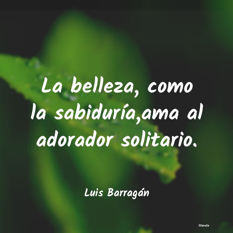 frases de Luis Barragán