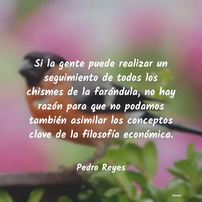 Frases de Pedro Reyes