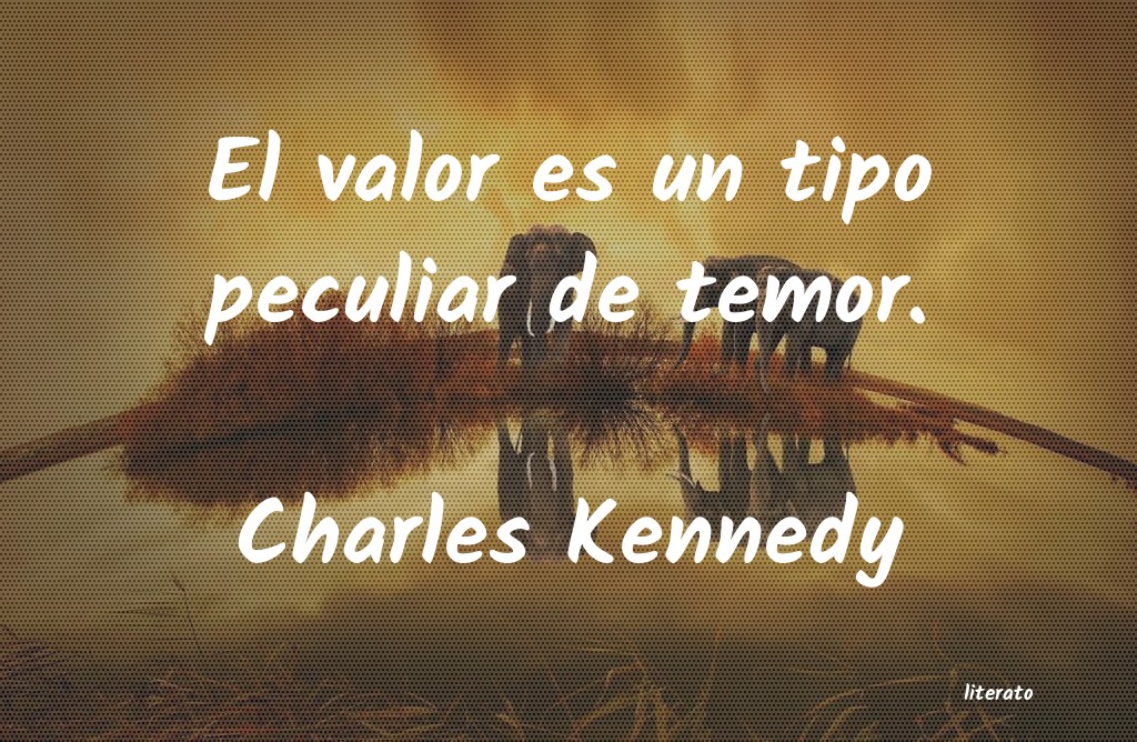 Frases de Charles Kennedy