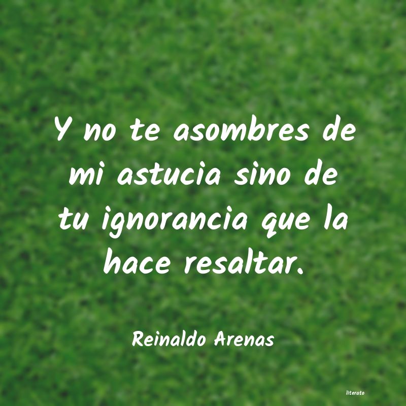 frases de Reinaldo Arenas