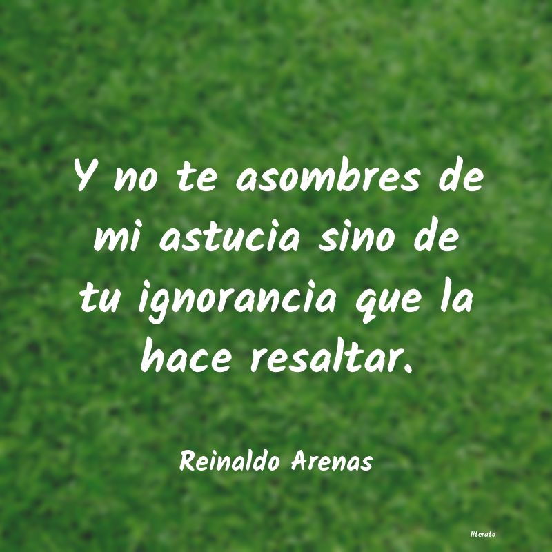 Frases de Reinaldo Arenas