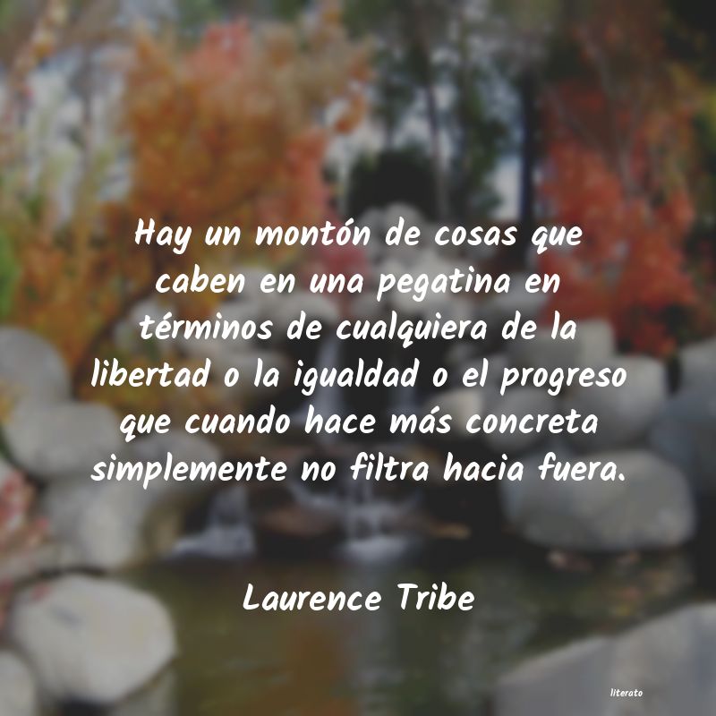 frases de Laurence Tribe