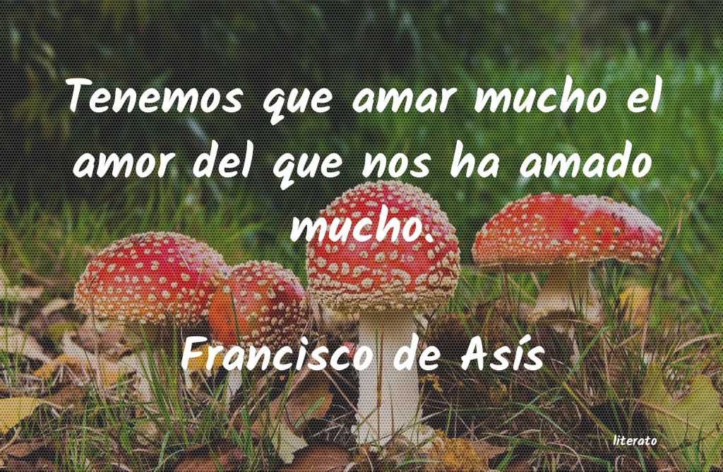 frases de Francisco de AsÃs