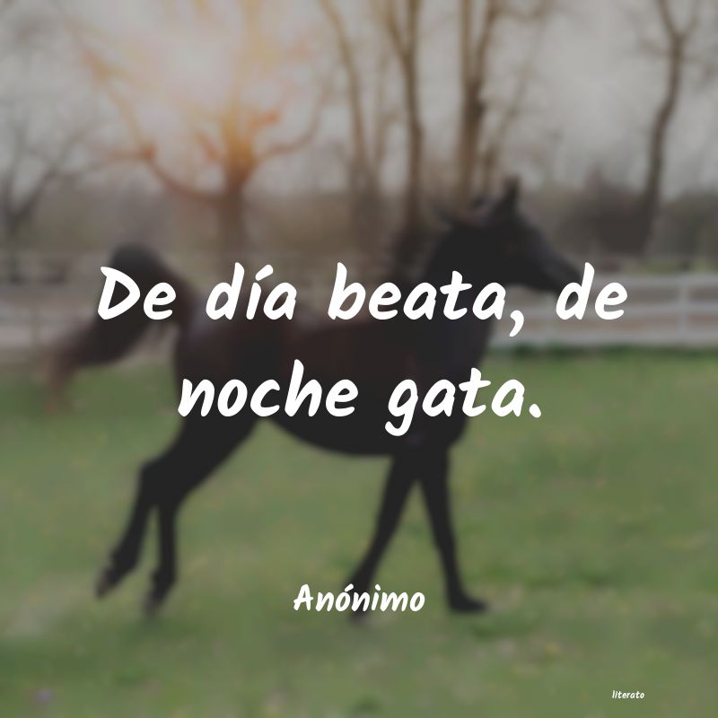 Frases de 