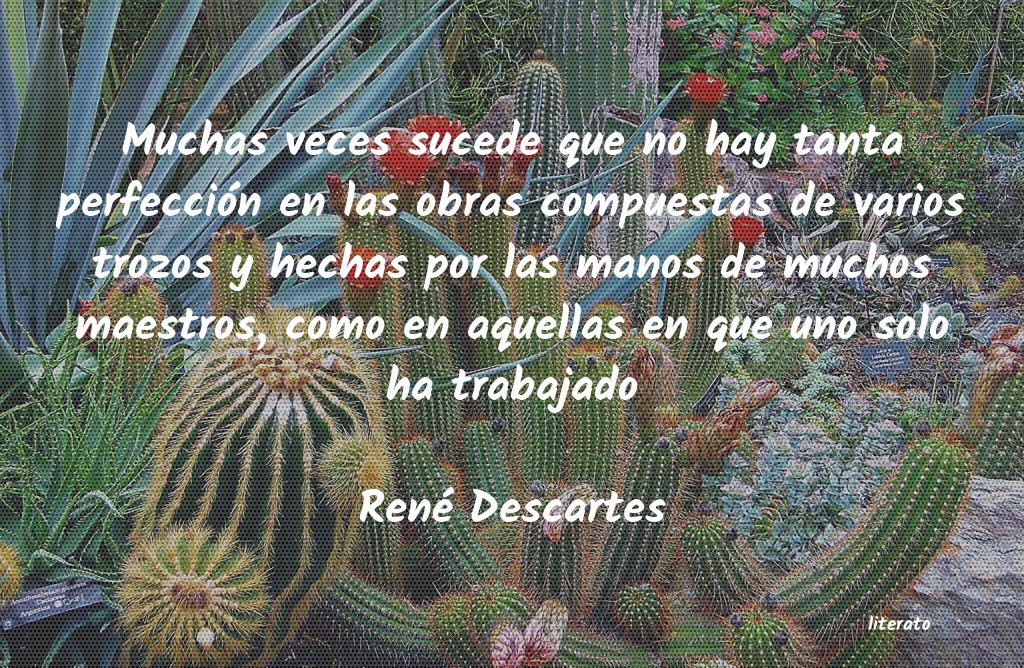frases de René Descartes