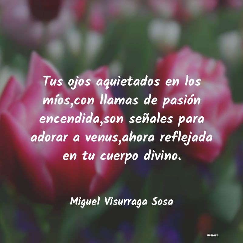 Frases de Miguel Visurraga Sosa