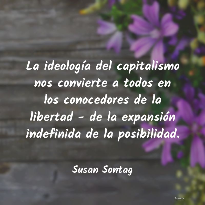 frases de Susan Sontag