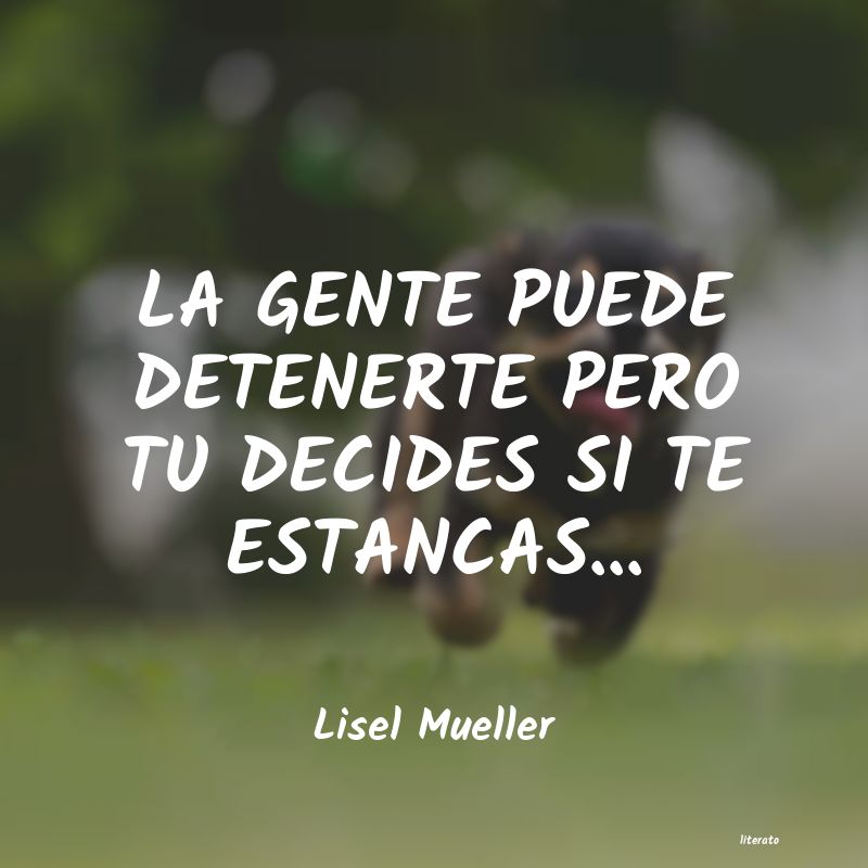 frases de Lisel Mueller