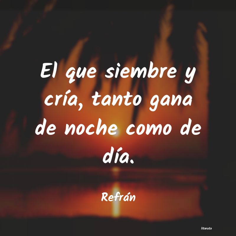 frases de Refrán