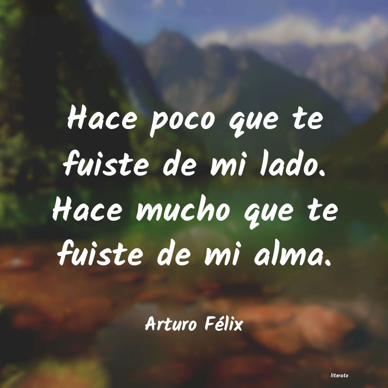Frases de Arturo Félix