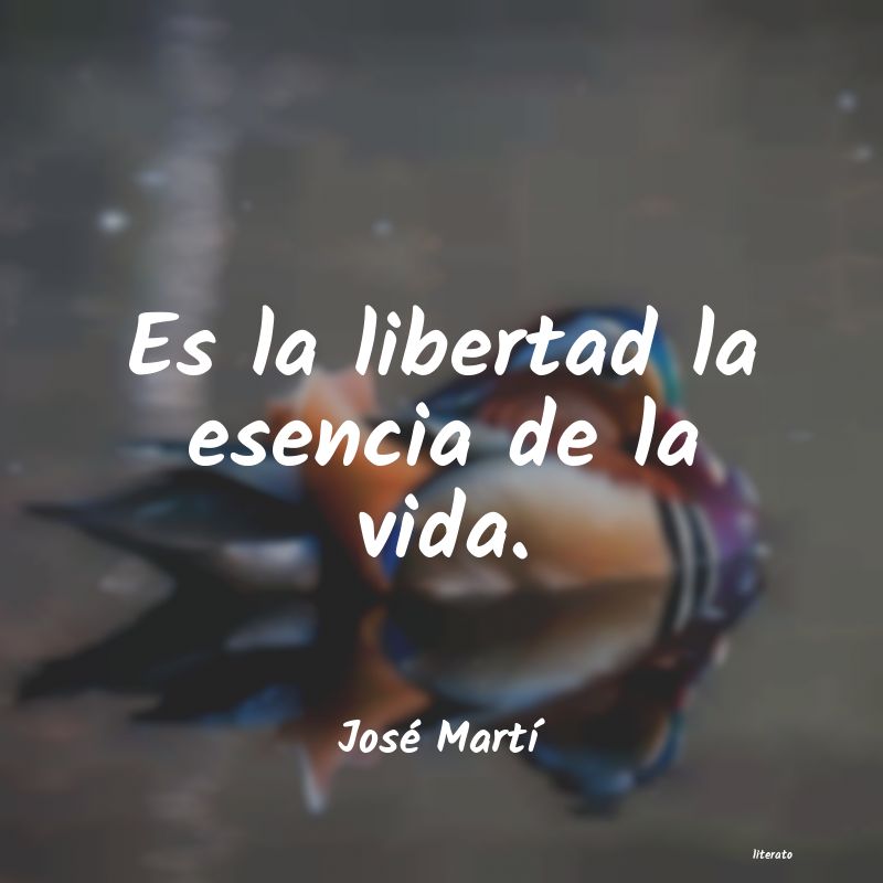 Frases de José Martí