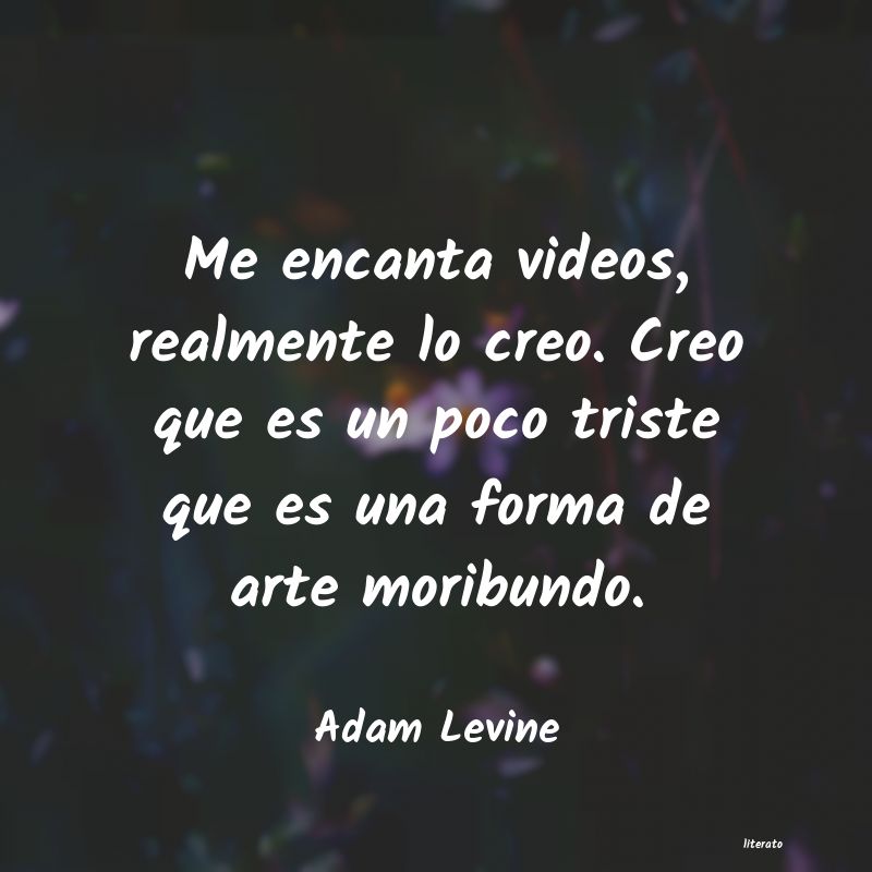 Frases de Adam Levine