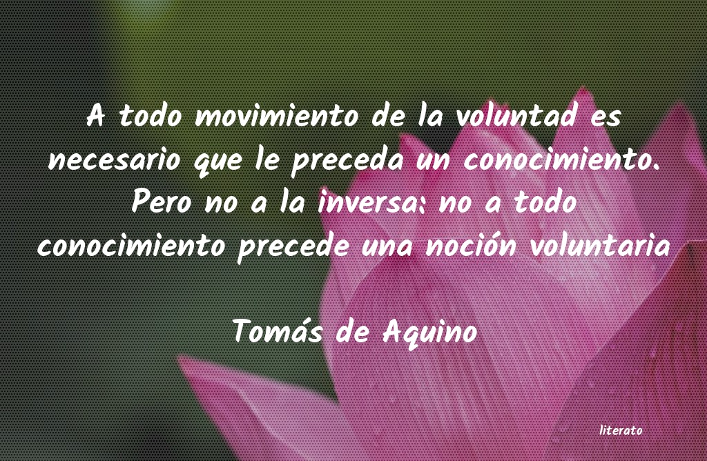 Frases de Tomás de Aquino