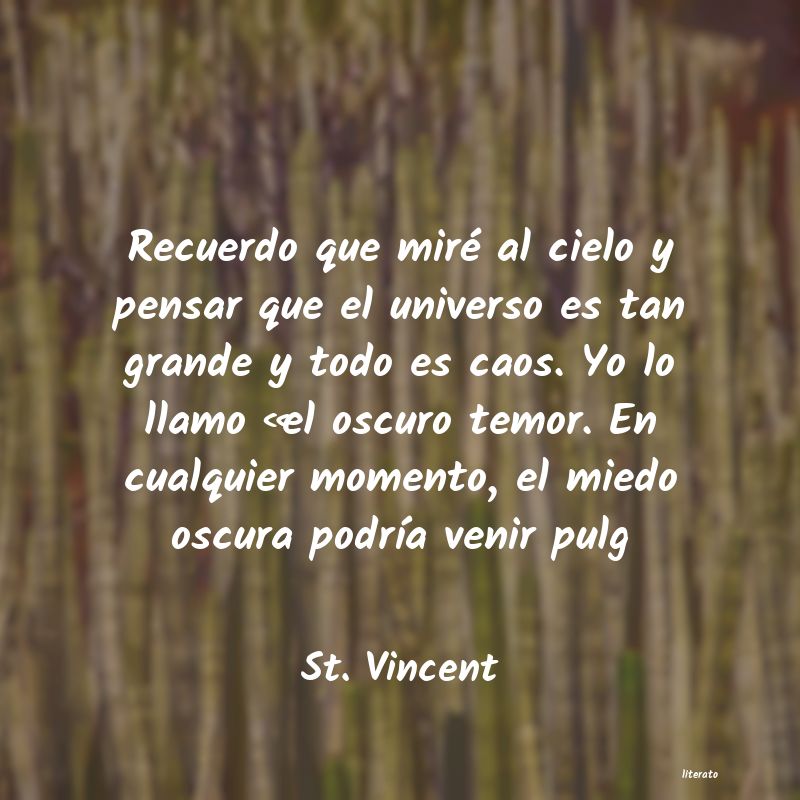frases de St. Vincent