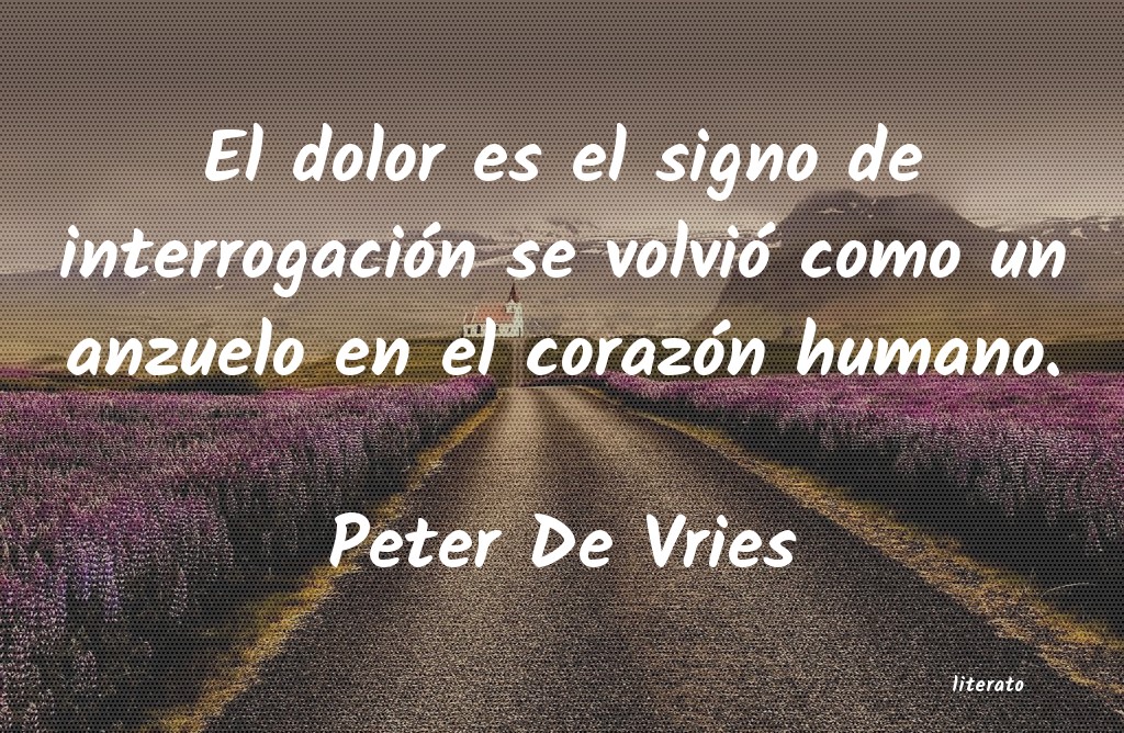 Frases de Peter De Vries