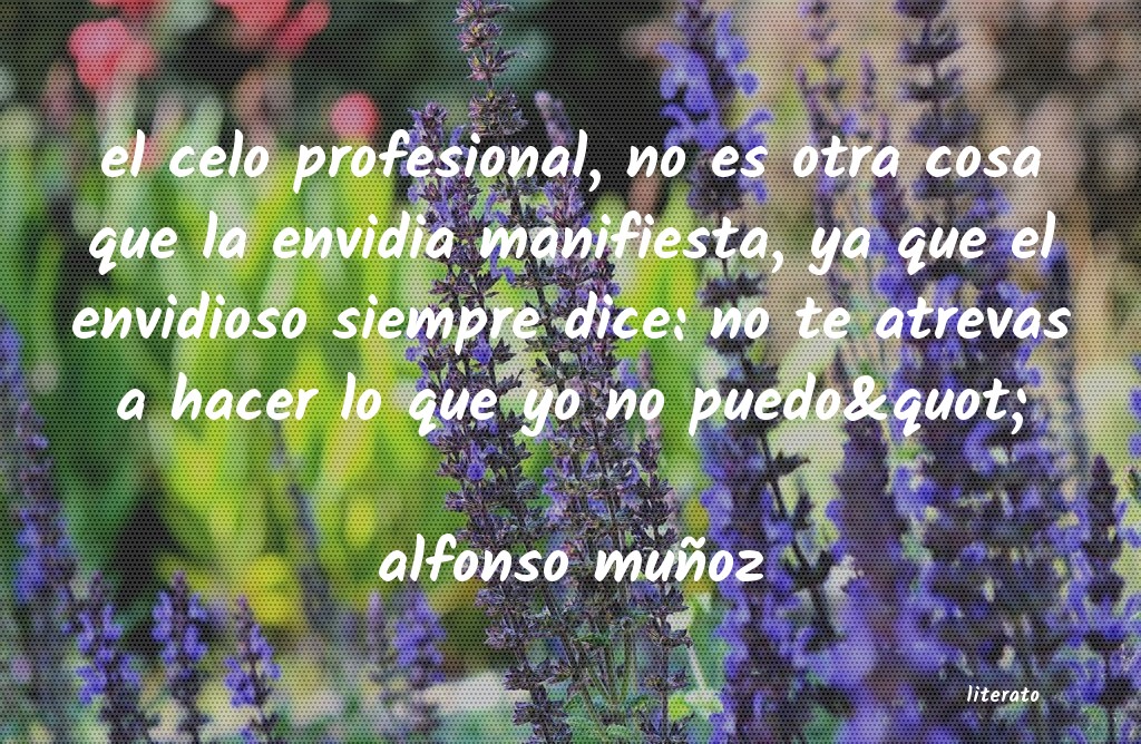 Frases de alfonso muñoz