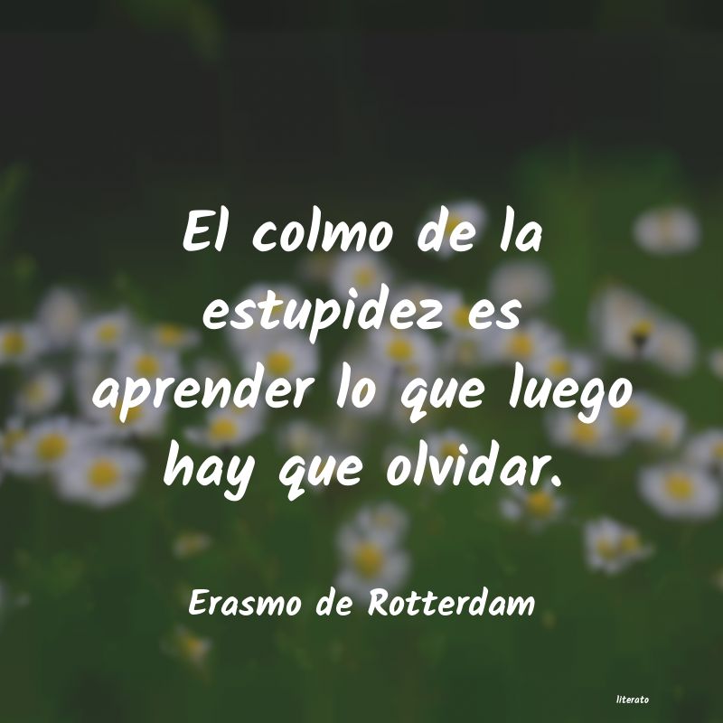 Frases de Erasmo de Rotterdam