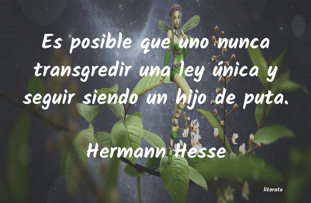 Frases de Hermann Hesse