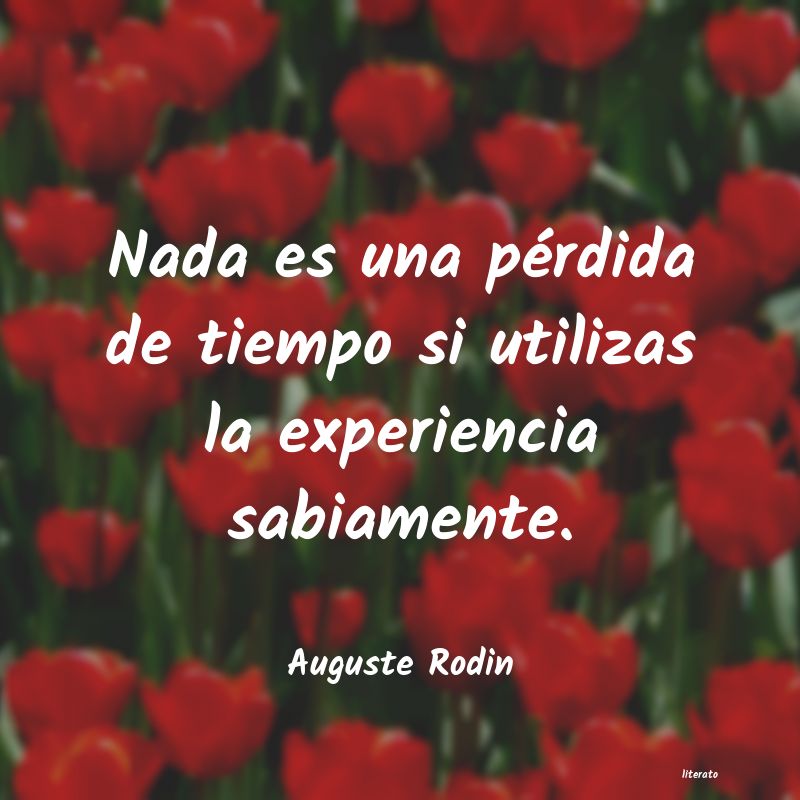 Frases de Auguste Rodin