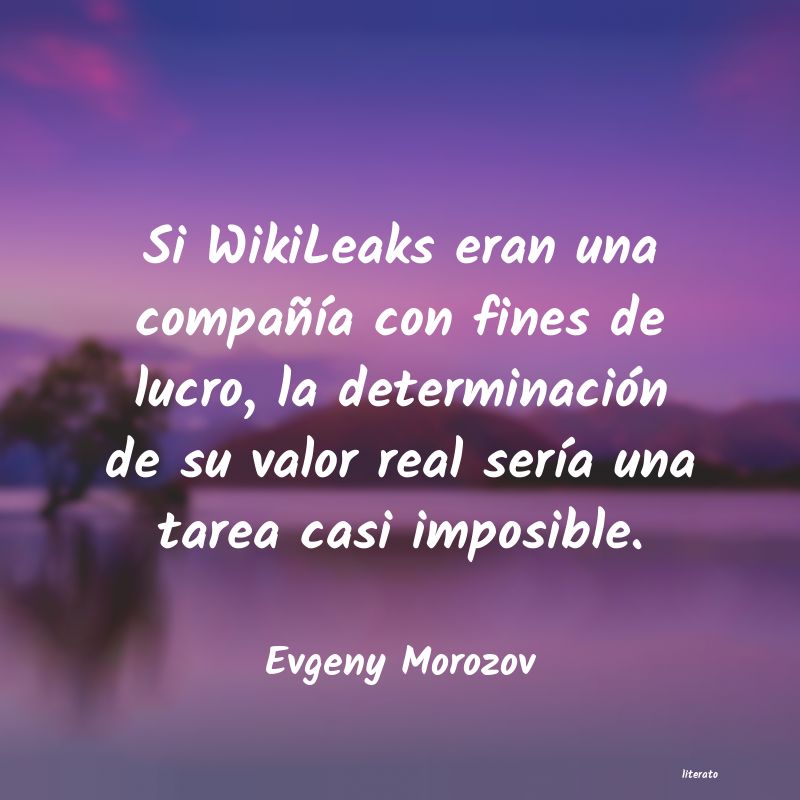 Frases de Evgeny Morozov