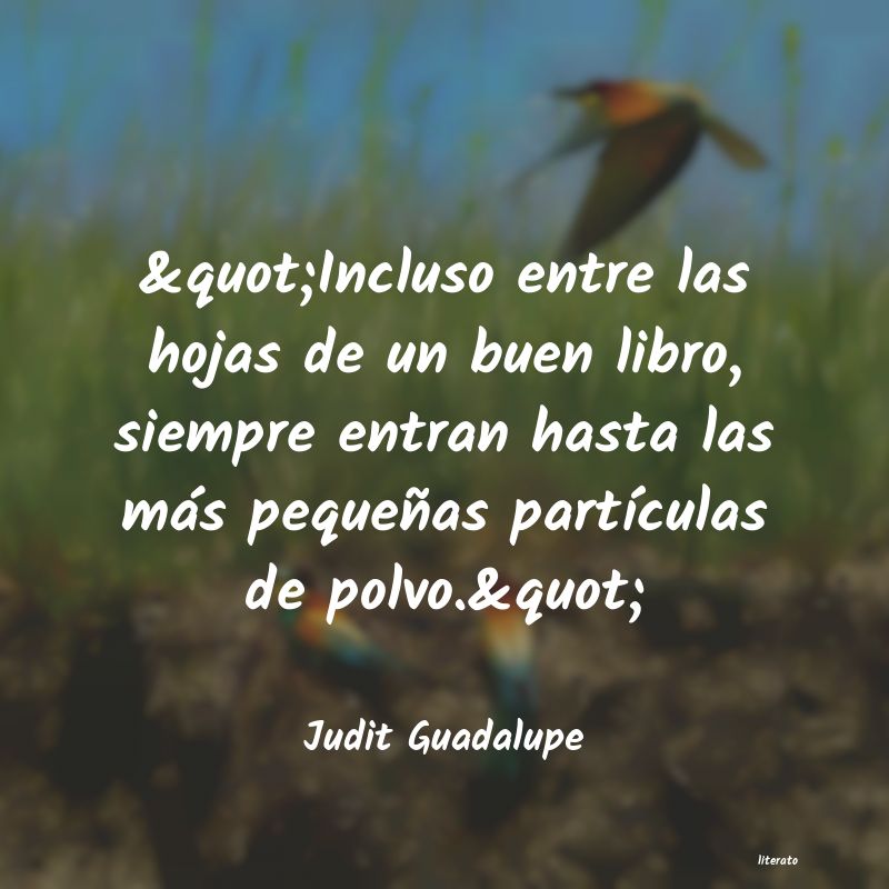 Frases de Judit Guadalupe