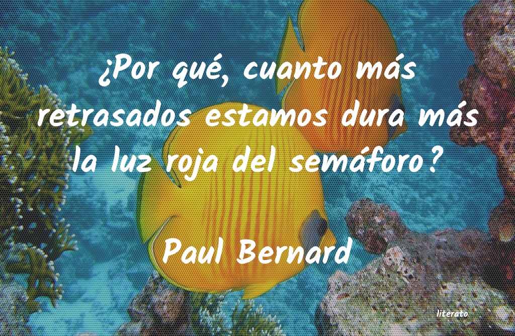 frases de Paul Bernard
