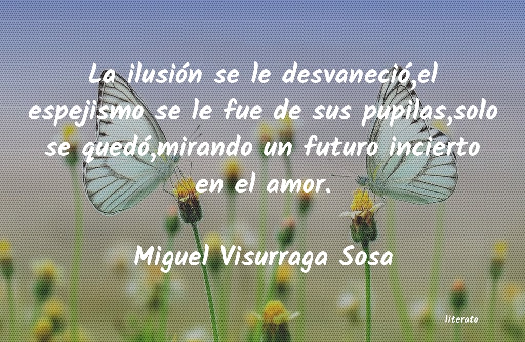 Frases de Miguel Visurraga Sosa