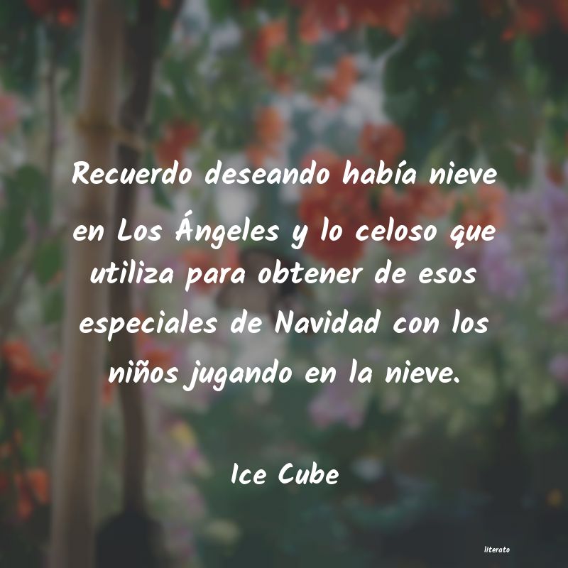 frases de Ice Cube