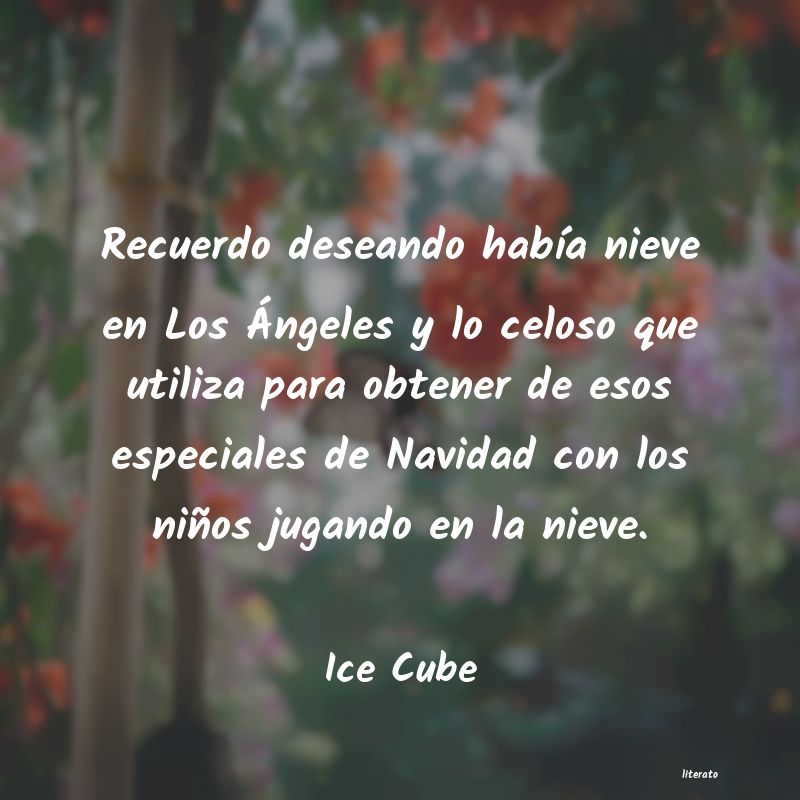 Frases de Ice Cube