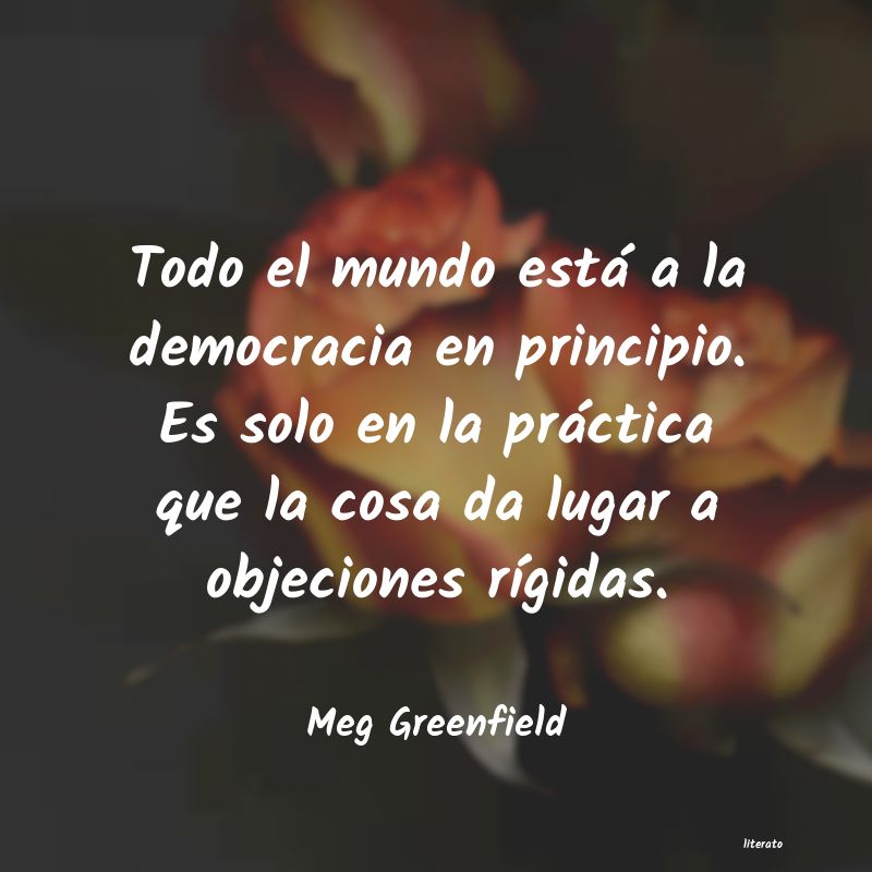 Frases de Meg Greenfield