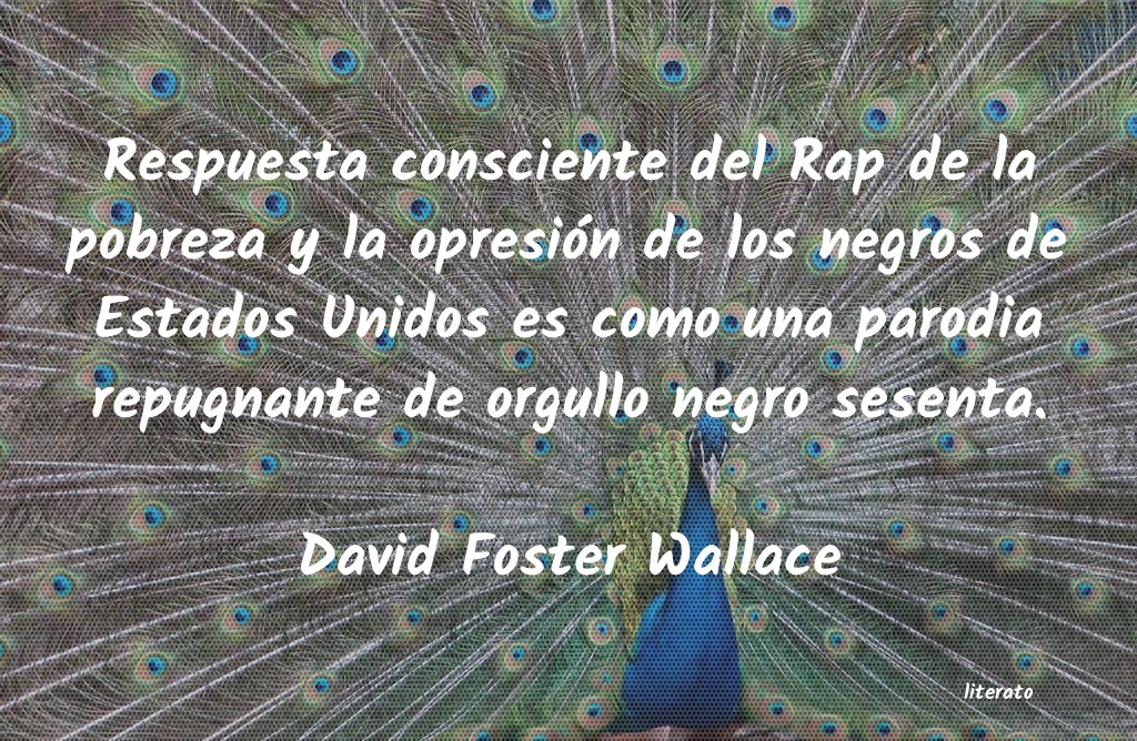 Frases de David Foster Wallace