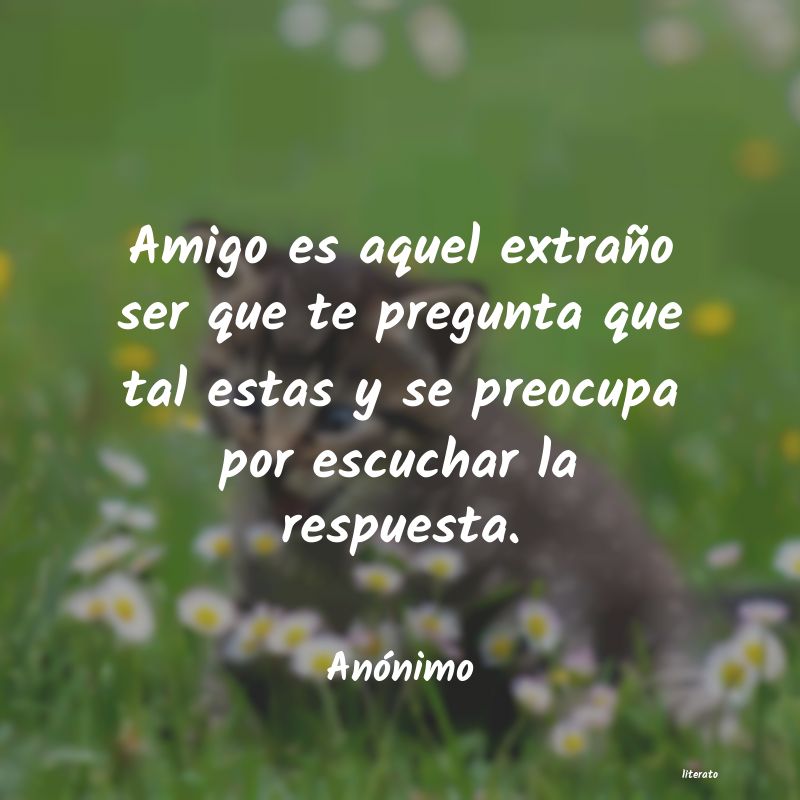 frases